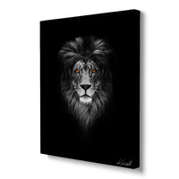 Lion Awaits