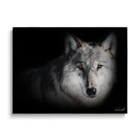 Pack Leader