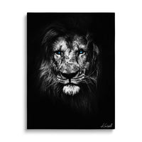 Painted Lion
