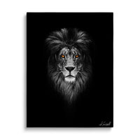 Lion Awaits
