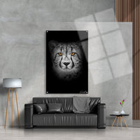 Patient Cheetah